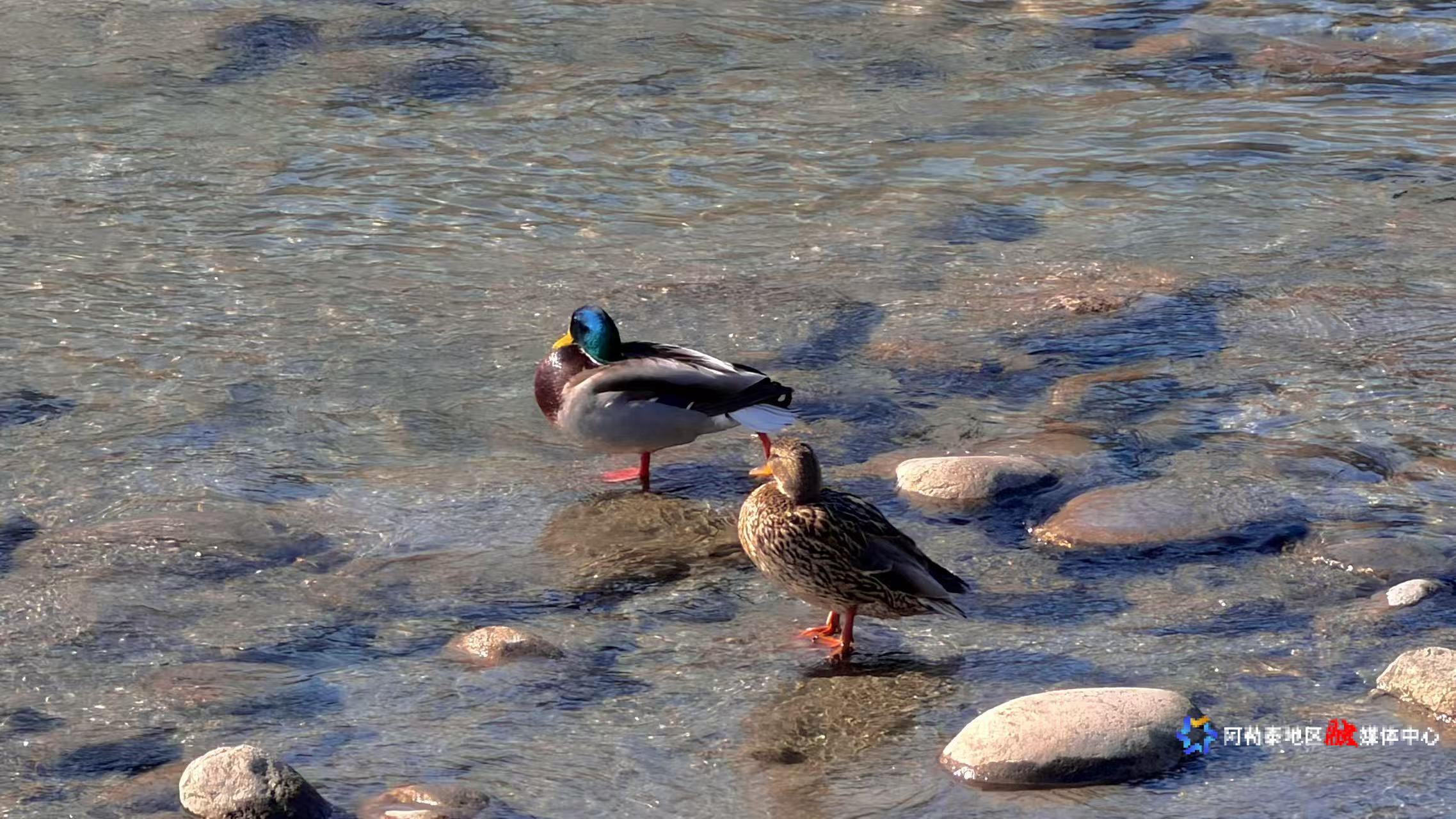 mmexport1773564980282