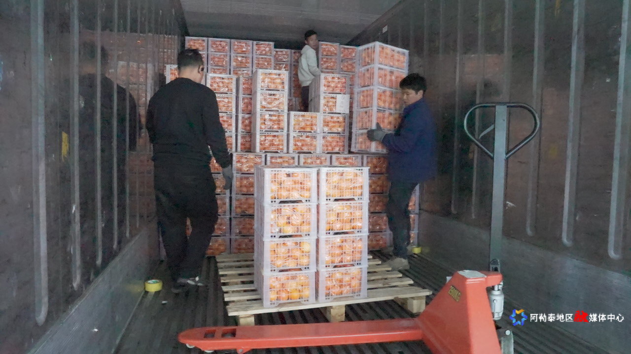 mmexport1774957568816