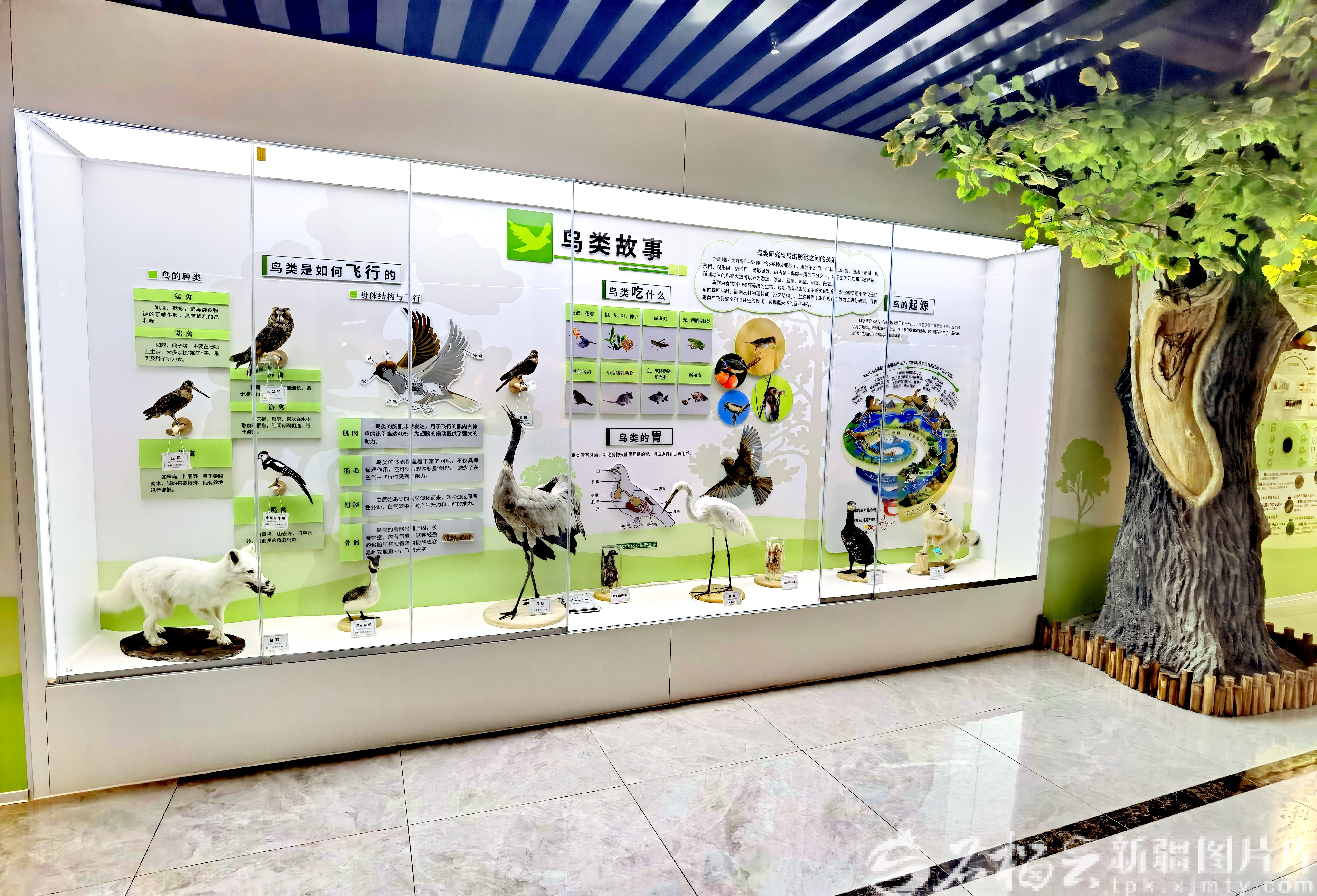 mmexport1768556787209